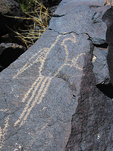 ABQ 2004: Petroglyph