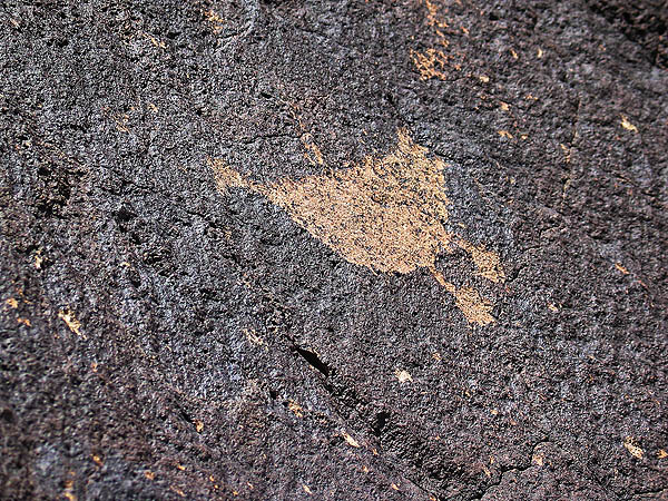 ABQ 2004: Petroglyph 03
