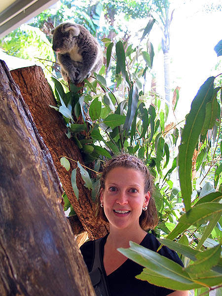 Australia 2004: Taronga Koala and Jane