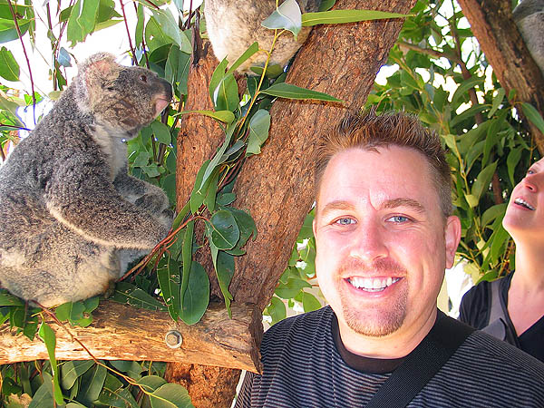 Australia 2004: Taronga Koala and Curtis