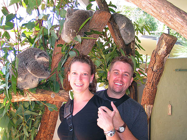 Australia 2004: Taronga Koala Jane and Curtis