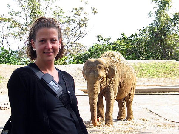 Australia 2004: Taronga Elephant and Jane