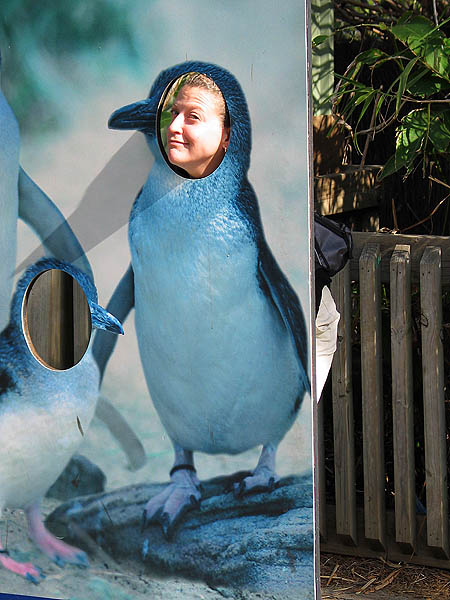 Australia 2004: Taronga Penguin Jane