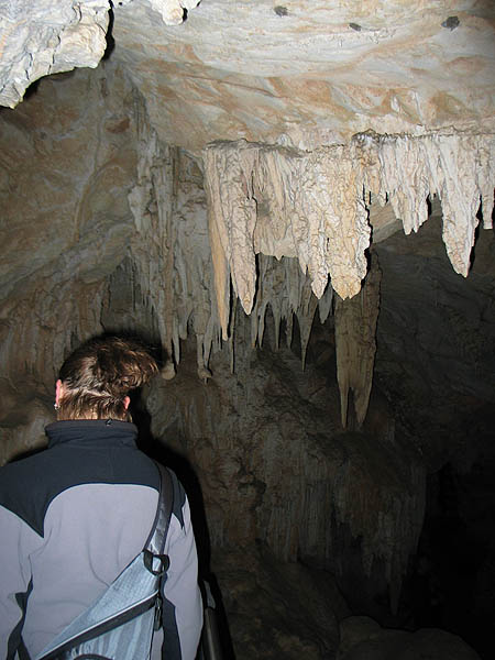 Australia 2004: Cave Formation 01