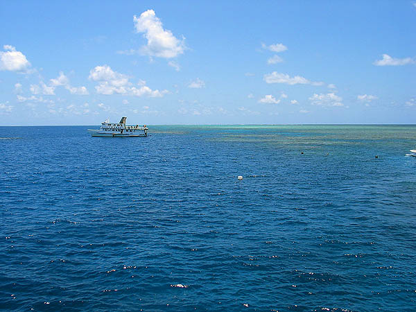 Australia 2004: Great Barrier Reef 02