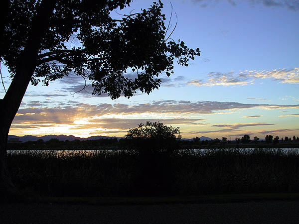 Berkely Park: Sunset 03