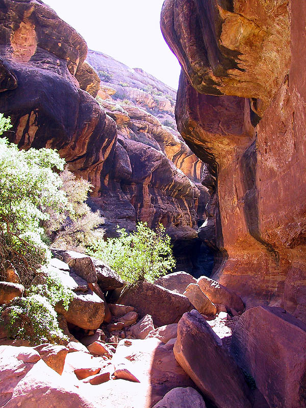 Canyoneering 2002: 35: Down Gravel Canyon