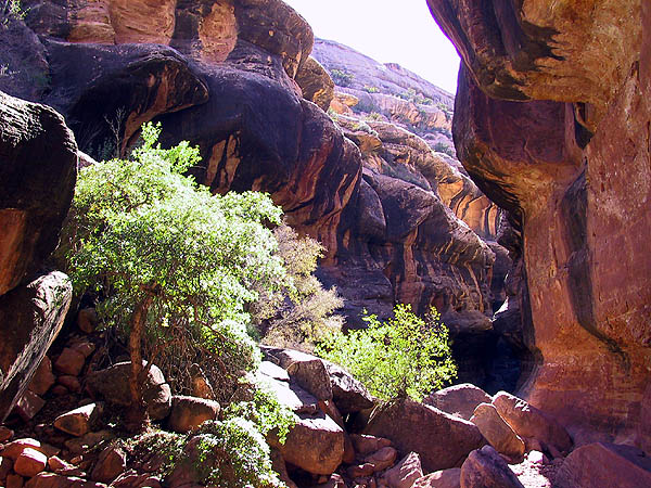Canyoneering 2002: 36: Down Gravel Canyon