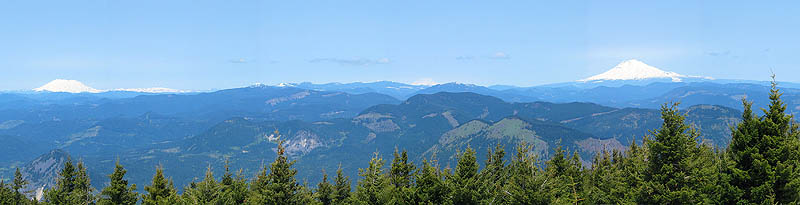 Mt Defiance 2004: Helens, Rainier, Adams Panoramic