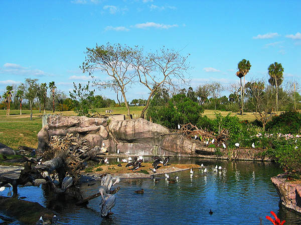 Florida 2004: Bird Oasis