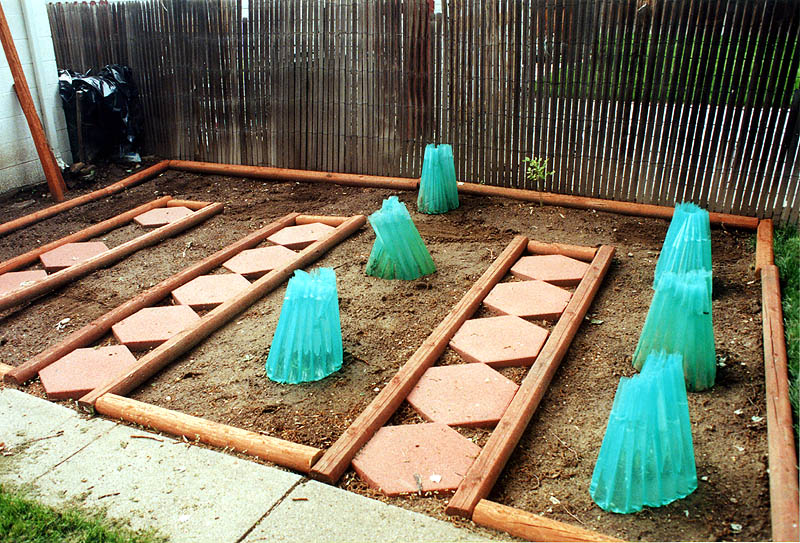 Garden May 2001