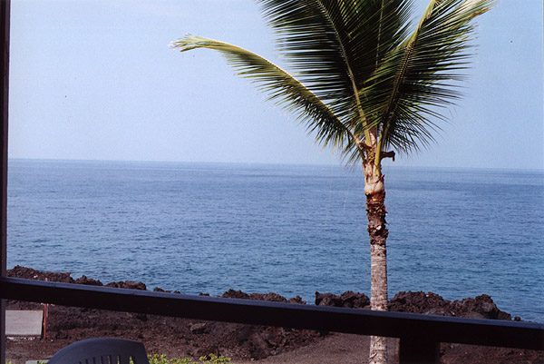 Hawaii: View from Balcony Left