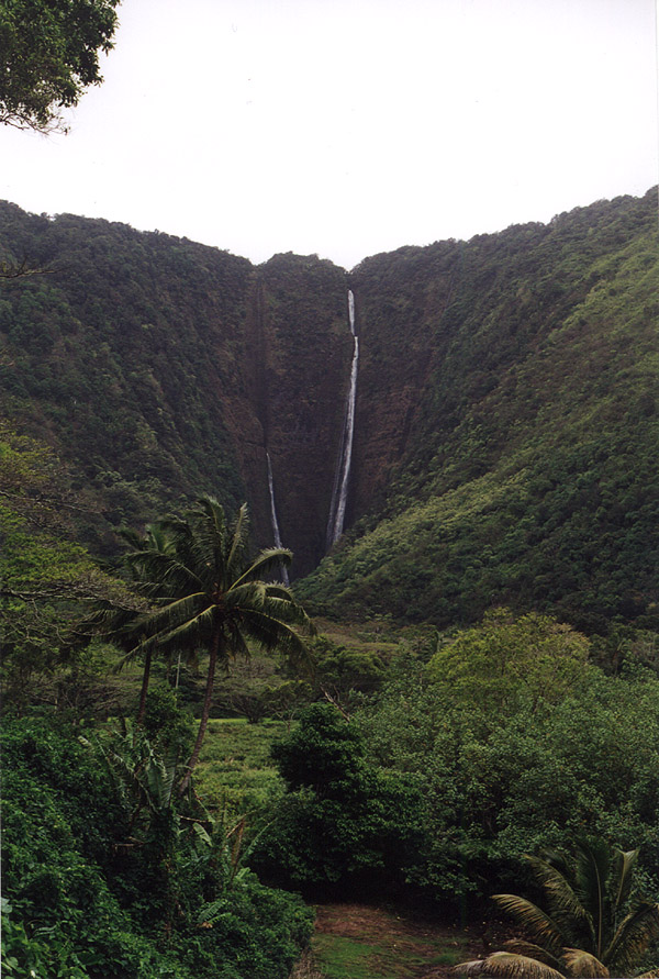 Hawaii: Waipio Valley Waterfall