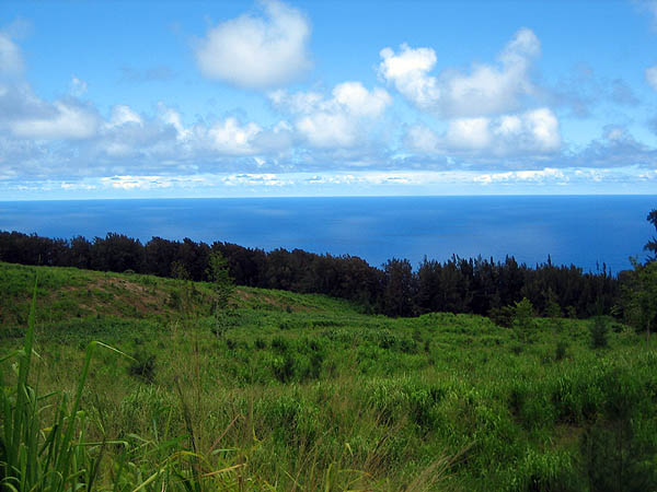Hawaii 2006: Ocean View