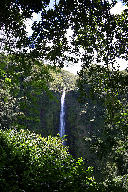 Hawaii 2006: Akaka Falls