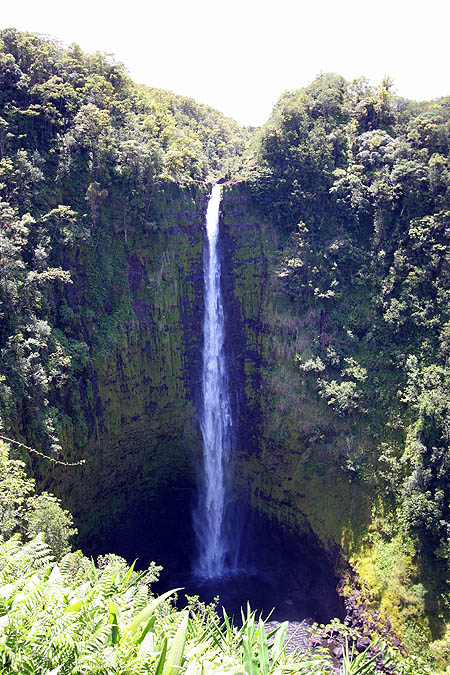 Hawaii 2006: Akaka Falls 2