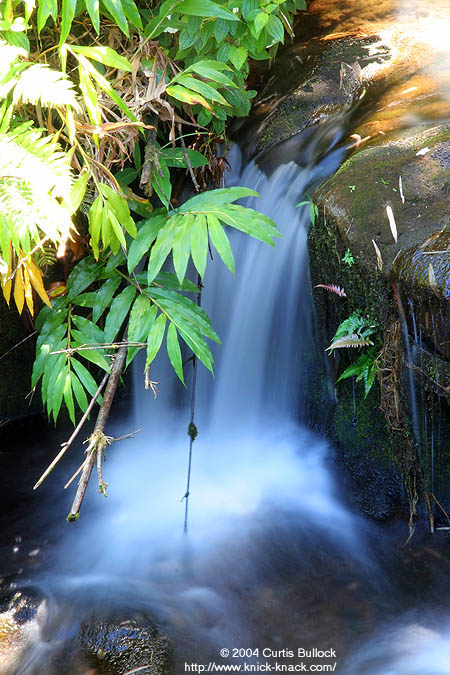 Hawaii 2006: Flowing Stream 2