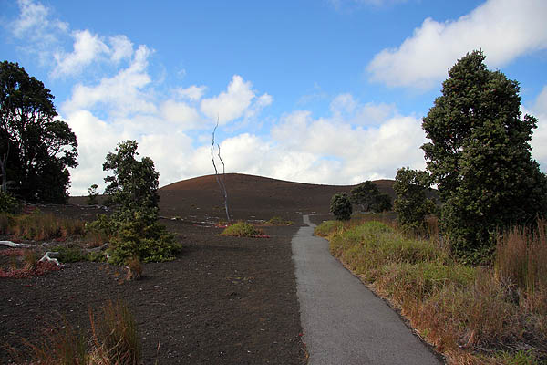 Hawaii 2006: Volcano: Devastation Trail
