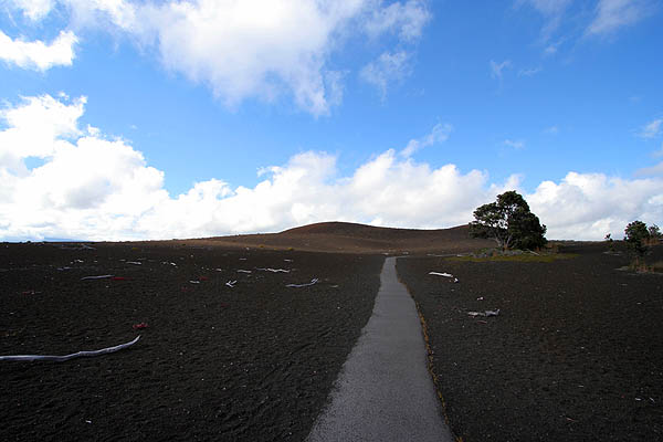 Hawaii 2006: Volcano: Devastation Trail 2