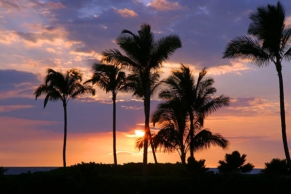 Hawaii 2006: Tropical Sunset