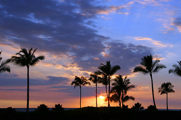Hawaii 2006: Tropical Sunset 2