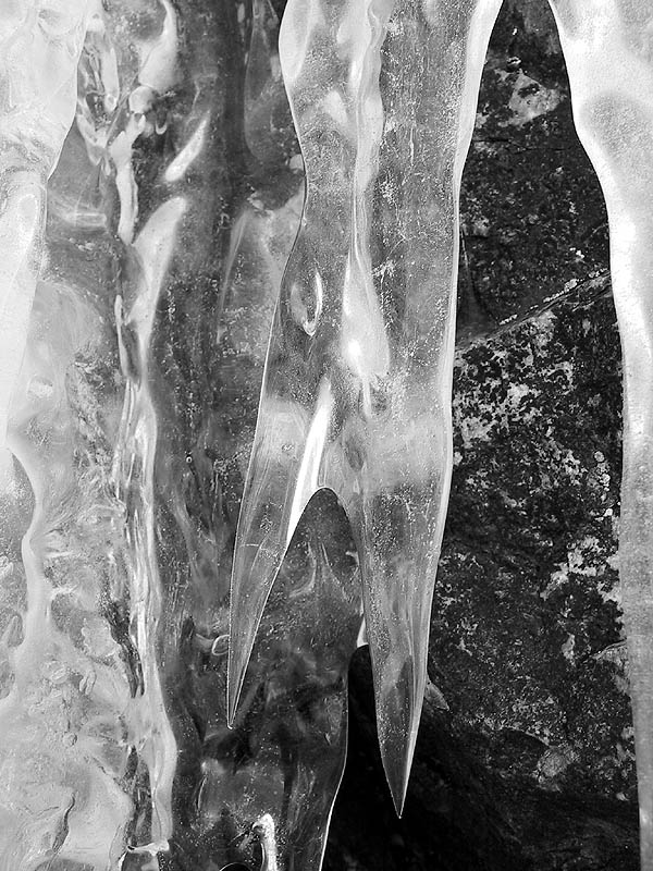 Lincoln Falls 2002: Forked Icicle B_W