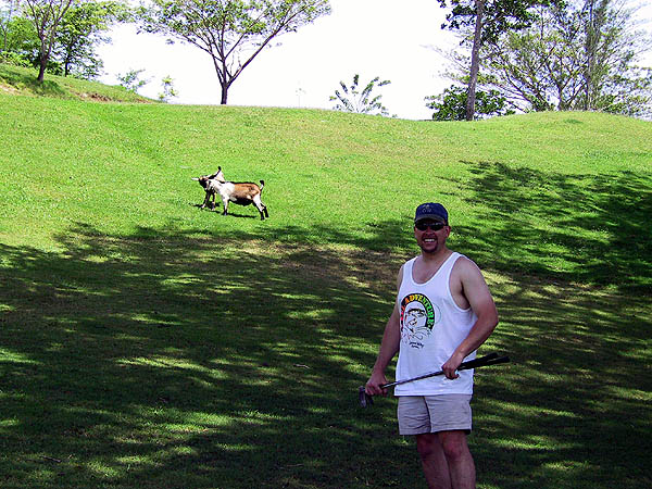 Jamaica 2002: Curtis and Golf Goats