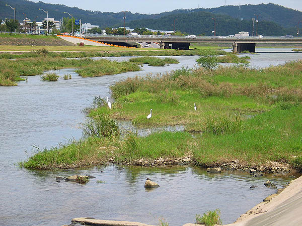 Korea 2003: Cranes on the Waterway
