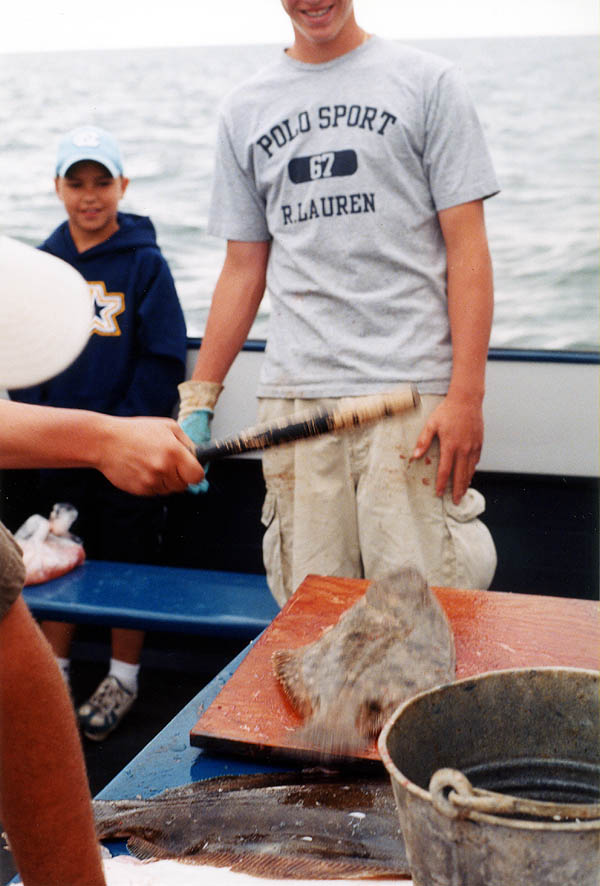 Massachusetts 2001: Steven Whacking a Flounder