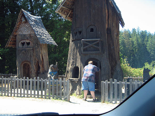 Mendocino 2006: Redwood Visitor