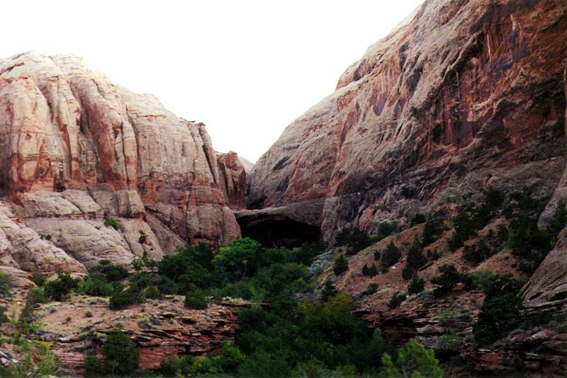 Moab 2000: Morning Glory Bridge from Canyon