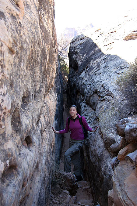Moab 2005: Needles District: Jane in Joint