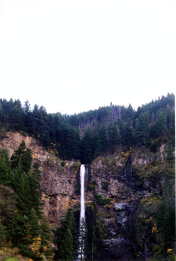 Multnomah Falls: Falls From A Distance