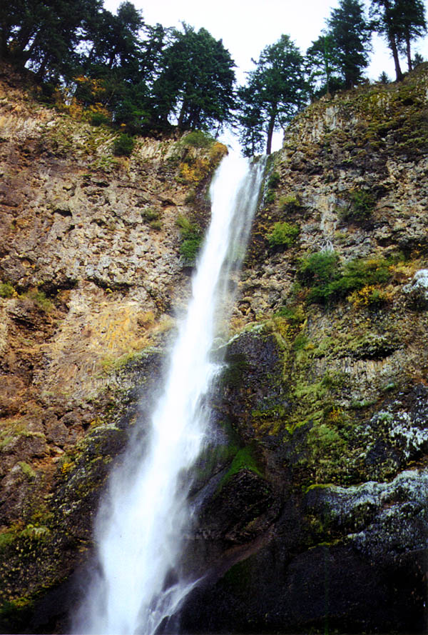 Multnomah Falls: Falls From Left