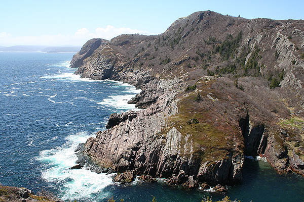 Newfoundland 2005: Signal Hill Coastline