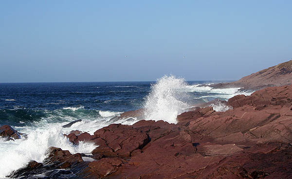 Newfoundland 2005: Cape Spear Coastline 04