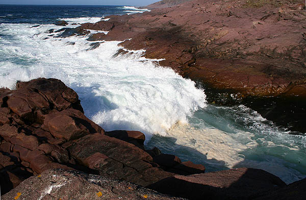 Newfoundland 2005: Cape Spear Coastline 05