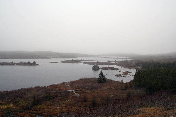 Newfoundland 2005: Newfoundland Landscape 02