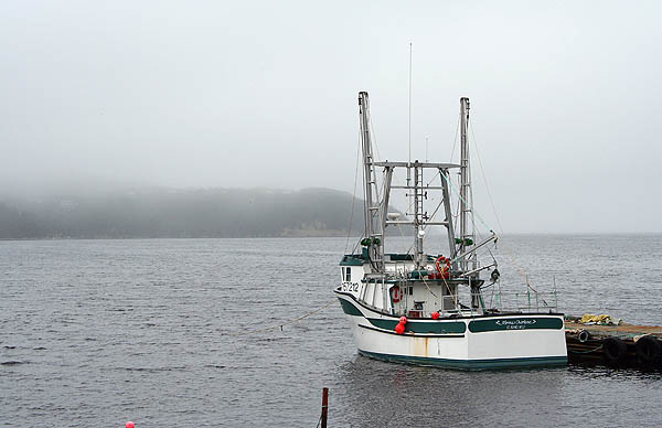 Newfoundland 2005: Docked Fishing Boat