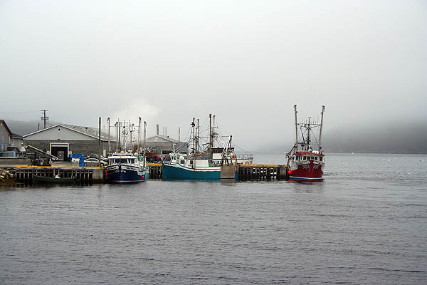Newfoundland 2005: Docked Fishing Boats