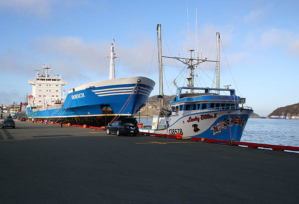 Newfoundland 2005: Docked Ships