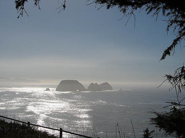 Oregon Coast 2005: Three Arch Rocks 01