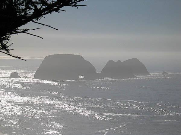 Oregon Coast 2005: Three Arch Rocks 03
