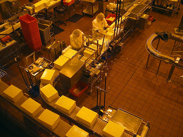 Oregon Coast 2005: Cheese Plant 02