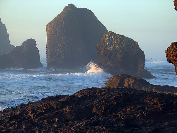 Oregon Coast 2005: Coastal Rocks 13