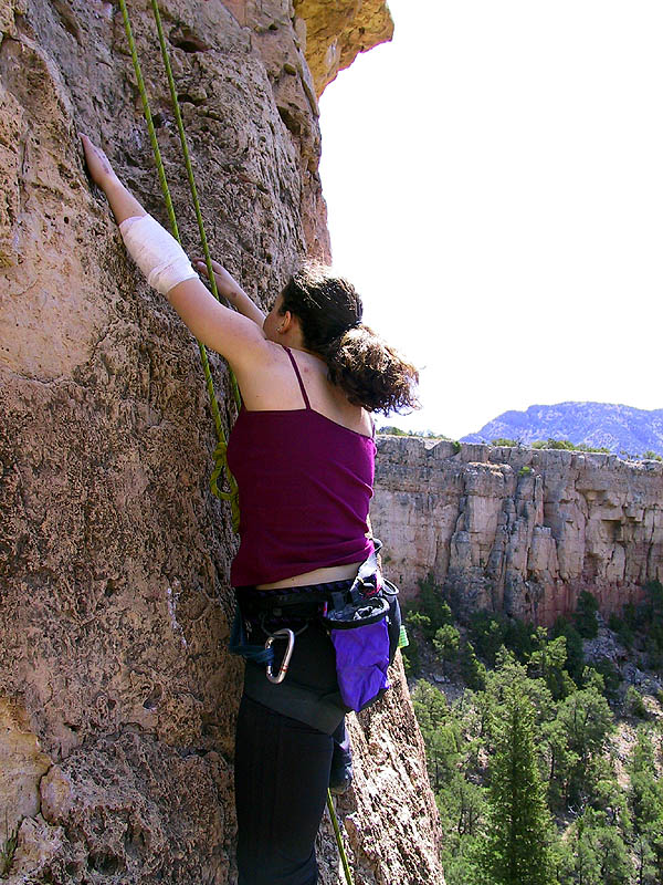 Shelf Road 2002: Sara Climbing 03