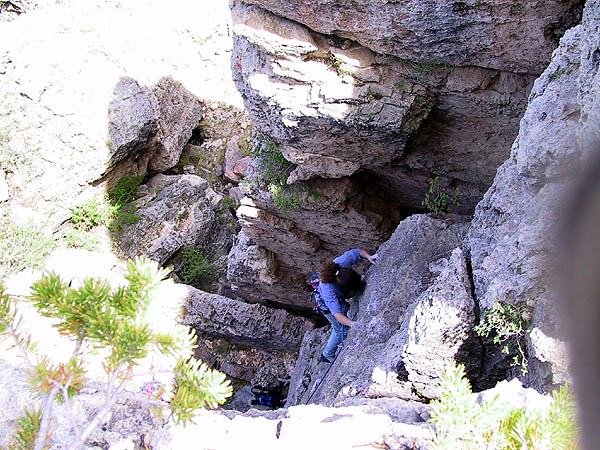 Shelf Road 2002: Ellen Climbing