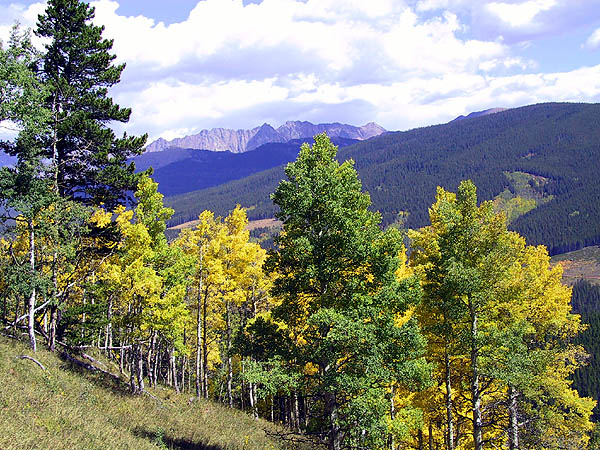 Vail 2001: Aspens and Gore Range