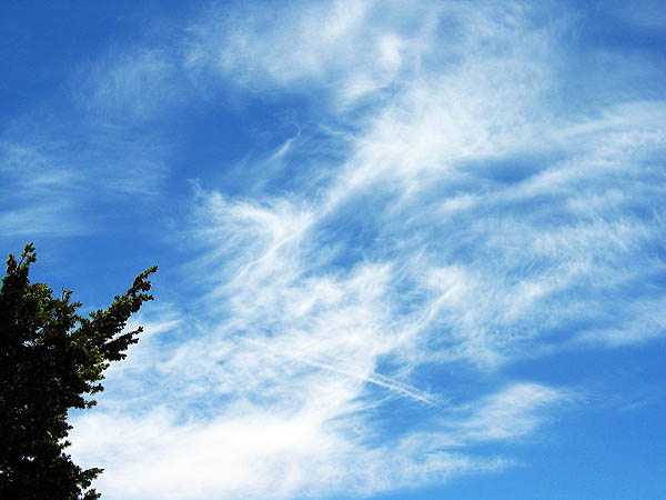 ABQ 2004: Sandia Peak Sky