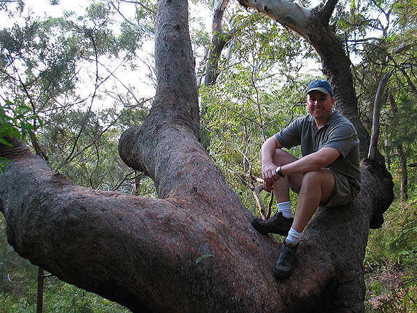 Australia 2004: Curtis in Tree